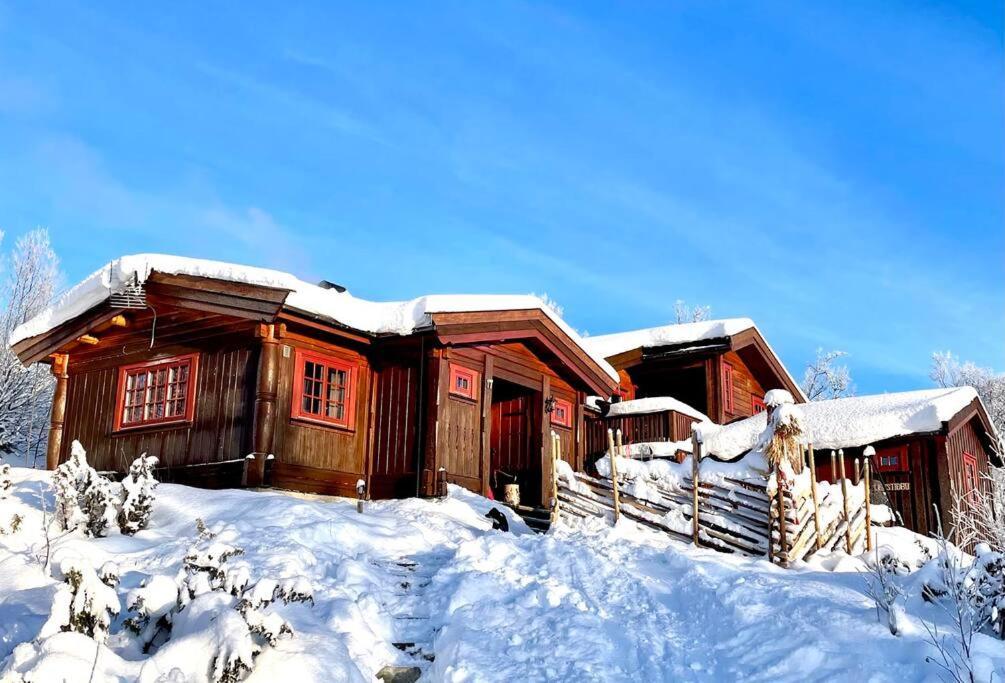Koselig Familiehytte Pa Vakre Dagali - Naer Geilo ภายนอก รูปภาพ