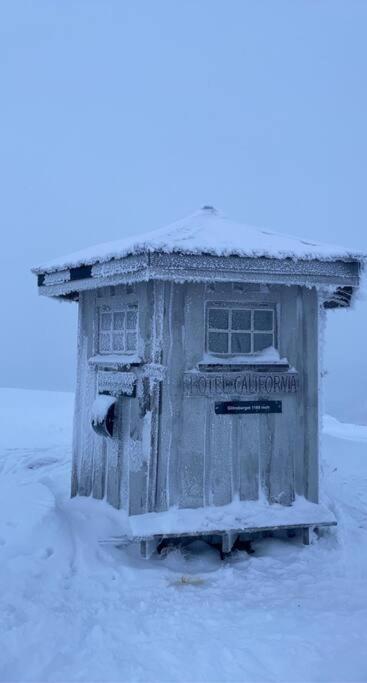 Koselig Familiehytte Pa Vakre Dagali - Naer Geilo ภายนอก รูปภาพ